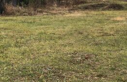 Oferta investitie!Teren intravilan 1600mp - Priseaca