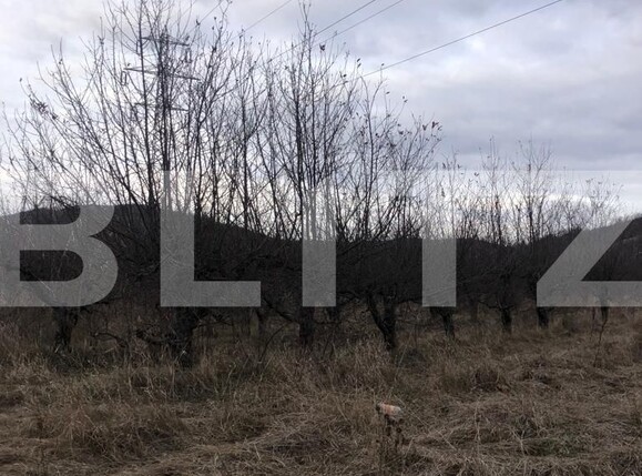 Teren de vânzare Nord-Est - 133296TV | BLITZ Târgoviște | Poza1