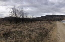 Teren intravilan, 3278mp, Viforata 