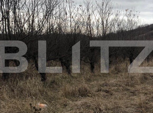 Teren de vânzare Nord-Est - 133300TV | BLITZ Târgoviște | Poza1