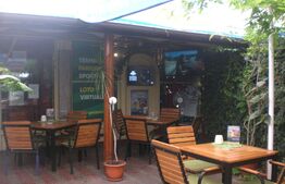 Spatiu comercial, 70 mp, Bld. Castanilor