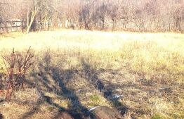 Casa individuala, 5 camere, 140 mp, teren 1900 mp, Doicesti