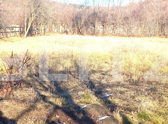 Casa de vânzare 5 camere Exterior Nord - 133762CV | BLITZ Târgoviște | Poza5