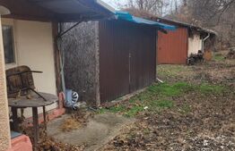 Casă de vacanță Aninoasa