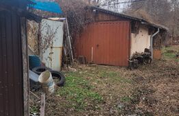 Casă de vacanță Aninoasa