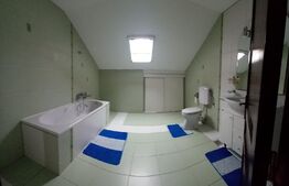 Casa individuala, 238 mp, teren 1654 mp, Aleea Manastirii Dealu