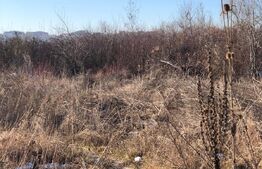 Teren intravilan Targoviste - 473mp