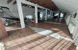 Spatiul comercial 520 mp.in Targoviste