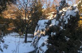 Casa individuala 4 camere, teren 1500 mp, priveliste deosebita-zona Manastirea Dealu