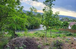 Teren intravilan Aleea Manastirii 1295mp