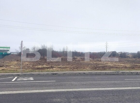 Teren de vânzare Centura - 136465TV | BLITZ Târgoviște | Poza1