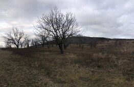 Teren extravilan 12524 mp, expunere sudica, Viforata