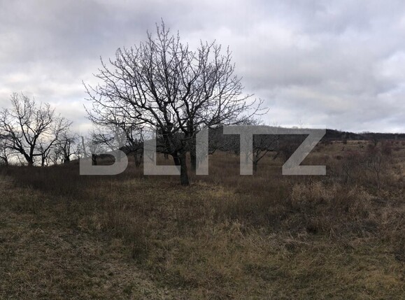 Teren de vânzare Exterior Nord - 136703TV | BLITZ Târgoviște | Poza1