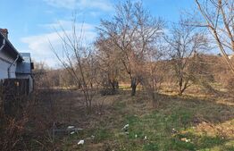 Teren intravilan 2892 mp Răzvad