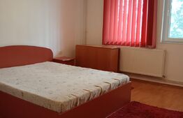 Casa individuala 5 camere,200 mp utili,526 mp teren, Calea Campulung, PRISEACA