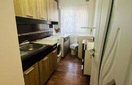 Apartament 2 camere,40mp,parter,Tineretului