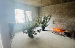 Casa 5 camere,180 mp utili +1000 mp teren,Bucsani