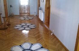 Vila individuala 216mp, teren 665mp, Aninoasa