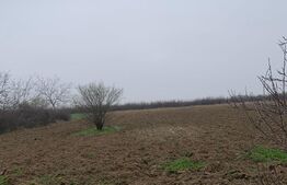 Casa individuala 95mp, teren 6100mp, Titu