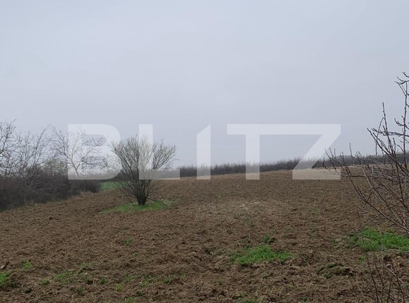 Casa de vânzare 4 camere Sud - 137168CV | BLITZ Târgoviște | Poza10