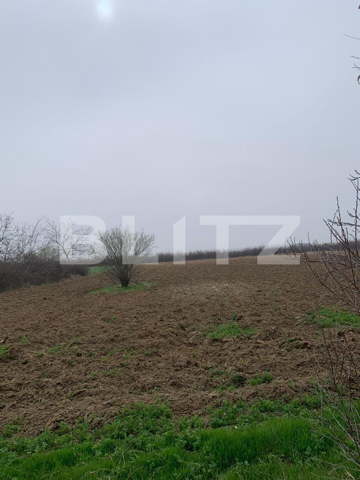 Casa de vânzare 4 camere Sud - 137168CV | BLITZ Târgoviște | Poza10