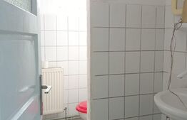 Spatiu de inchiriat 1000mp, depozitare sau productie ,ULMI