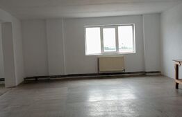 Spatiu de inchiriat 1000mp, depozitare sau productie ,ULMI