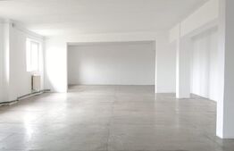 Spatiu de inchiriat 1000mp, depozitare sau productie ,ULMI