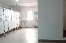 Spatiu de inchiriat 1000mp, depozitare sau productie ,ULMI