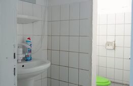 Spatiu de inchiriat 1000mp, depozitare sau productie ,ULMI