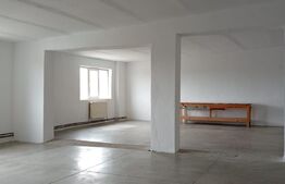 Spatiu de inchiriat 1000mp, depozitare sau productie ,ULMI