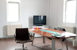 Spatiu de inchiriat 1000mp, depozitare sau productie ,ULMI