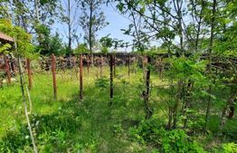 Vila 6 camere,241 mp utili +5813 teren, 17 km Targoviste 