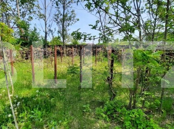 Casa de vânzare 6 camere Sud-Vest - 137491CV | BLITZ Târgoviște | Poza12