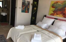 Pensiune 6 camere, 307 mp utili + 443 teren, Clisura Dunarii