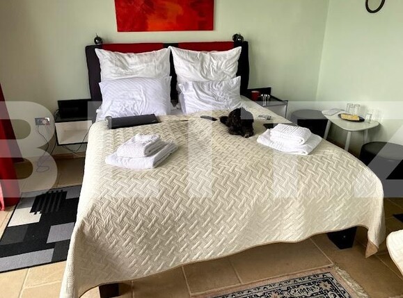 Casa de vânzare 6 camere Sud-Vest - 137505CV | BLITZ Târgoviște | Poza14