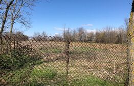 Casa individuala 8 camere, 350mp utili, teren 4000 mp, Matasaru, Dambovita