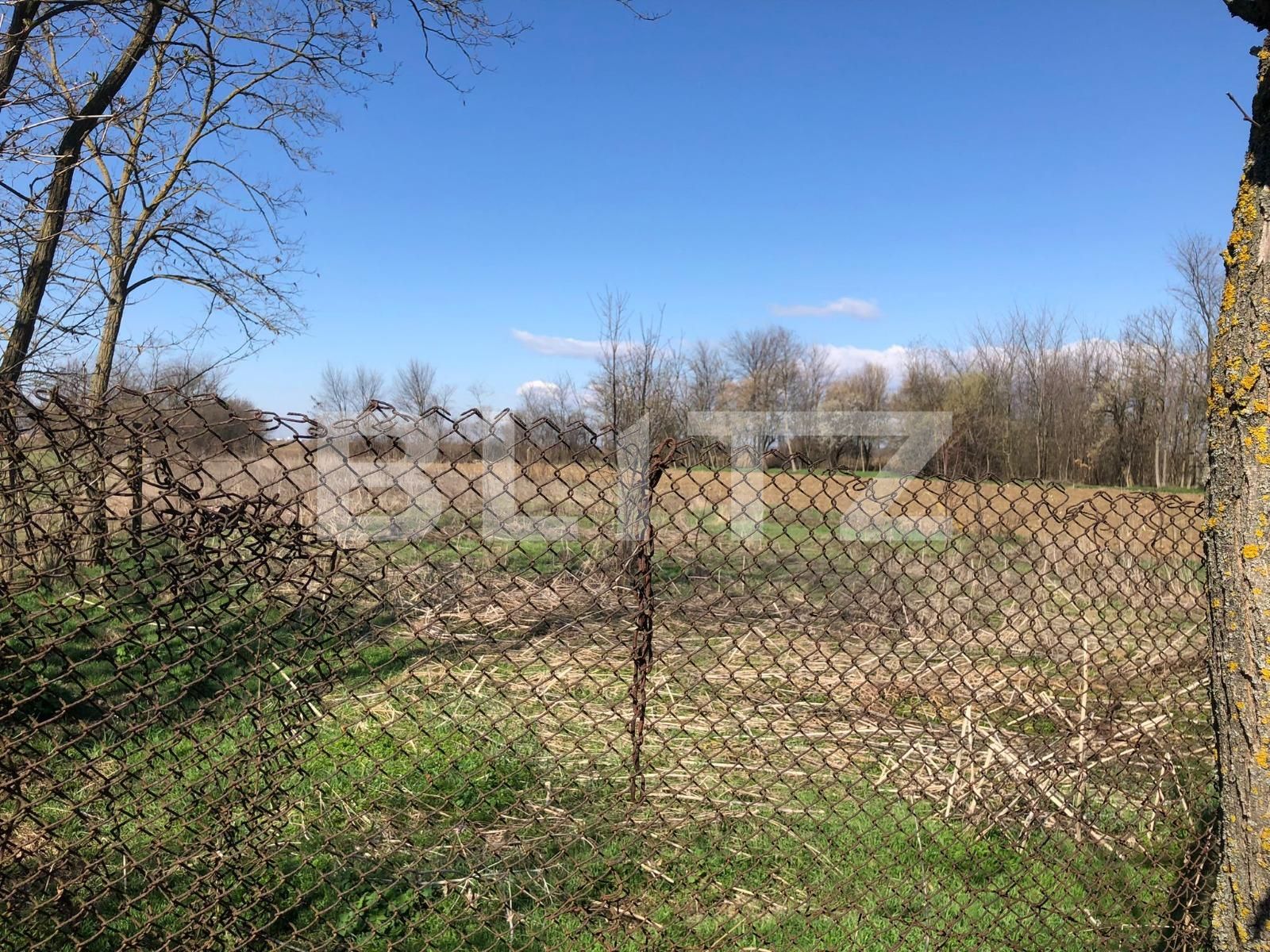 Casa de vânzare 8 camere Găeşti - 137703CV | BLITZ Târgoviște | Poza8