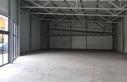 Spatiu comercial de inchiriat ,500mp, Gaesti