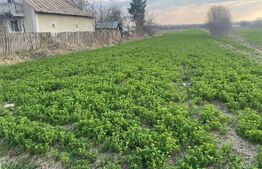 Teren Intravilan 3250mp, zona  Mogosesti