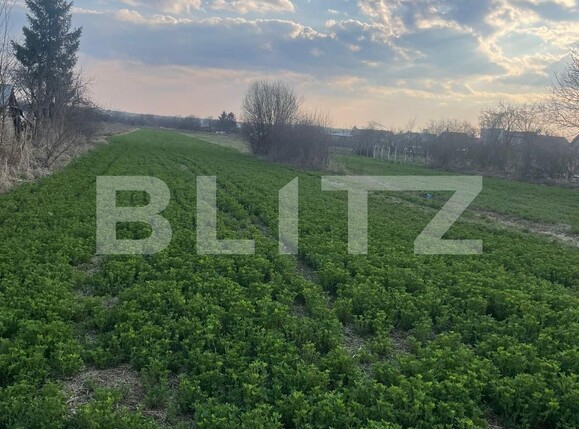 Teren de vânzare Sud-Vest - 137794TV | BLITZ Târgoviște | Poza4