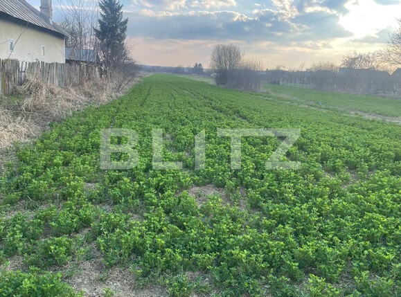 Teren de vânzare Sud-Vest - 137794TV | BLITZ Târgoviște | Poza2