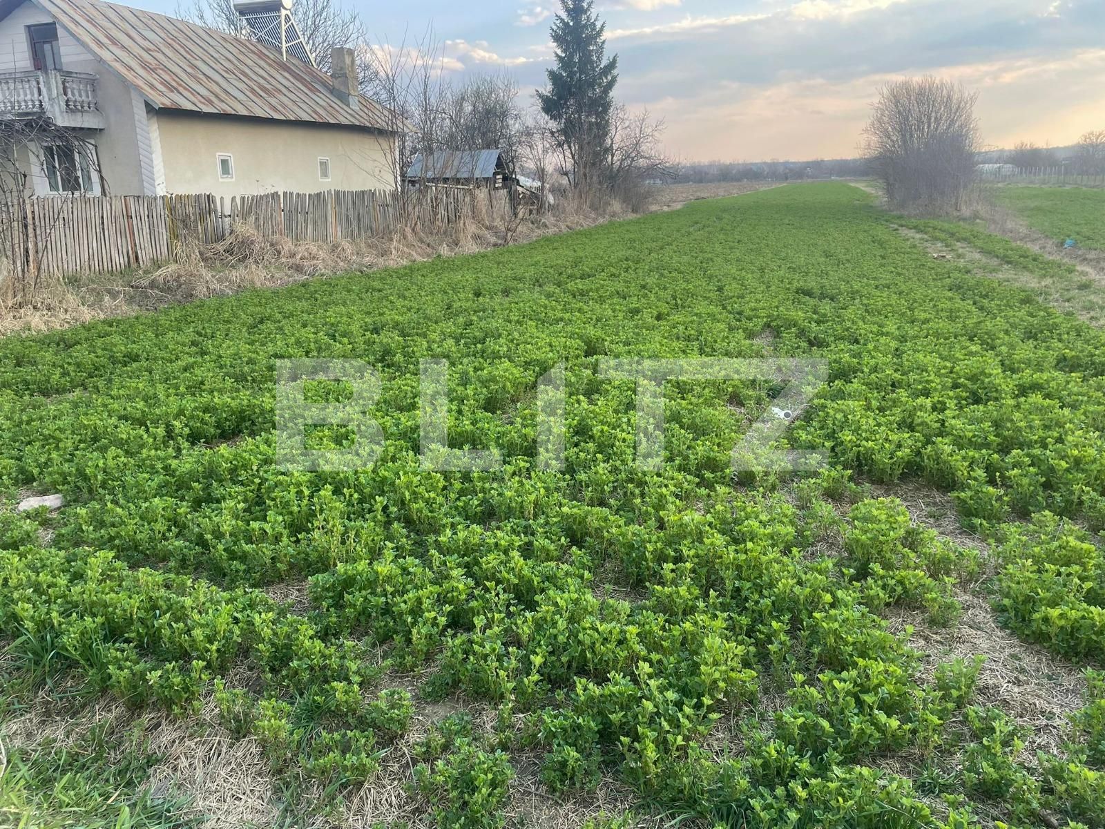 Teren de vânzare Sud-Vest - 137794TV | BLITZ Târgoviște | Poza3