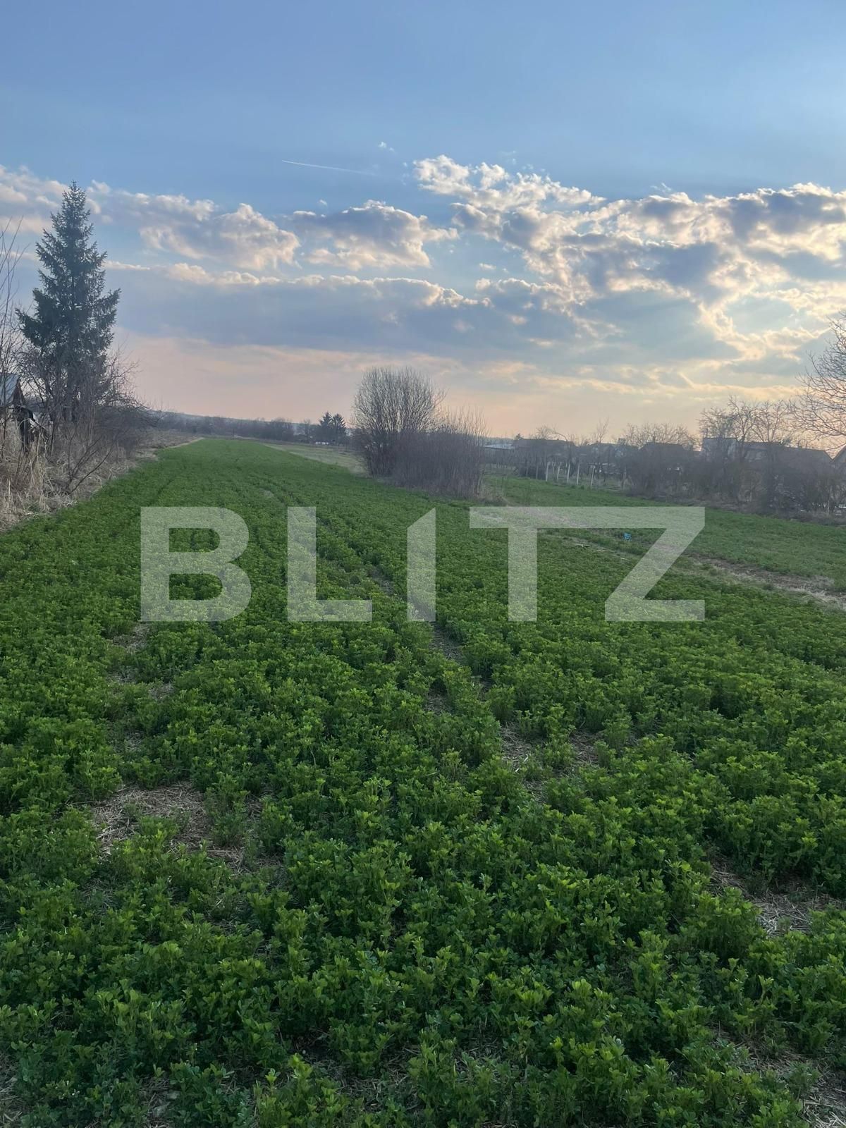 Teren de vânzare Sud-Vest - 137794TV | BLITZ Târgoviște | Poza4