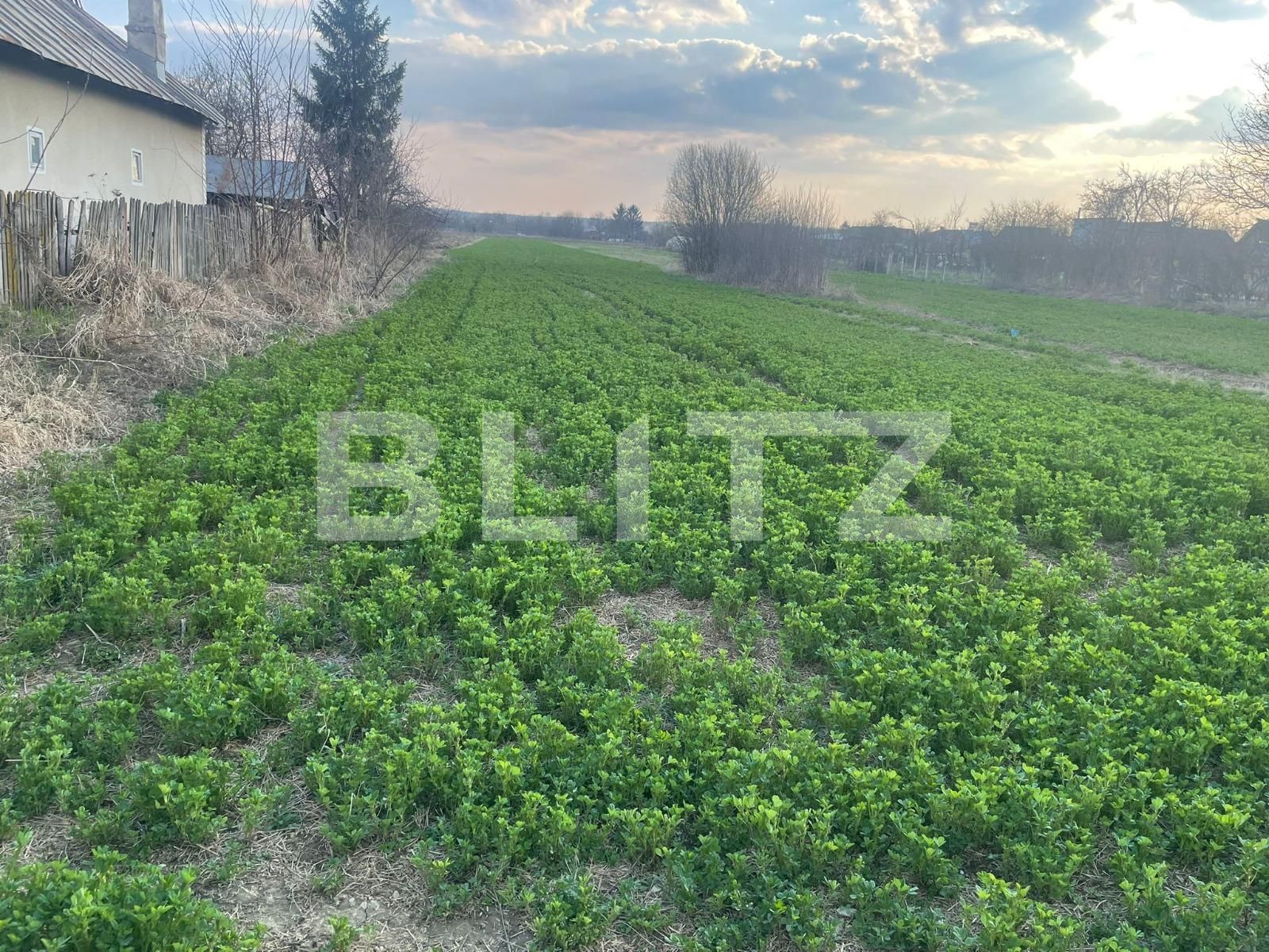 Teren de vânzare Sud-Vest - 137794TV | BLITZ Târgoviște | Poza2