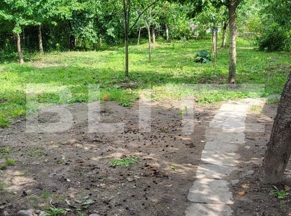 Casa de vânzare 3 camere Nord-Est - 137869CV | BLITZ Târgoviște | Poza10