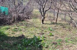 Casa de vacanta, 60 mp, zona Pucioasa