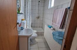 Casa de vacanta, 60 mp, zona Pucioasa