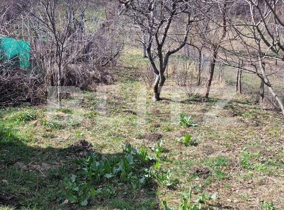 Casa de vânzare 3 camere Nord - 138473CV | BLITZ Târgoviște | Poza3