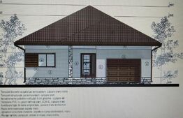 Vilă plan parter 120mp utili/600mp teren, zona Priseaca